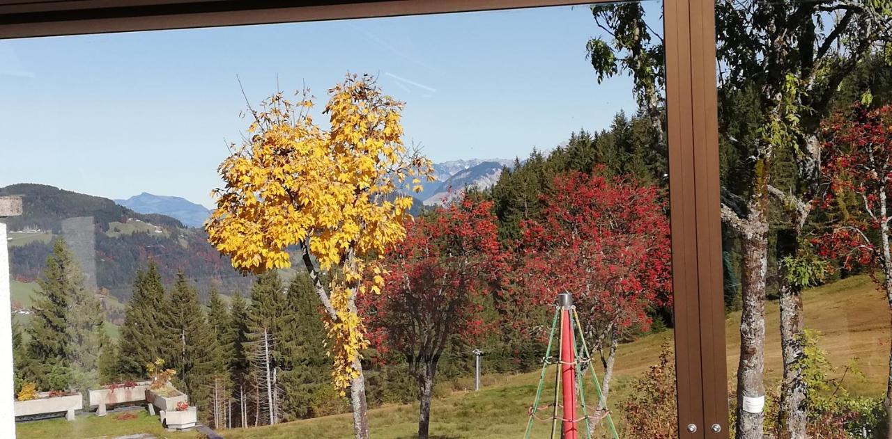Hotel Berghaus Koglmoos Auffach Exterior foto