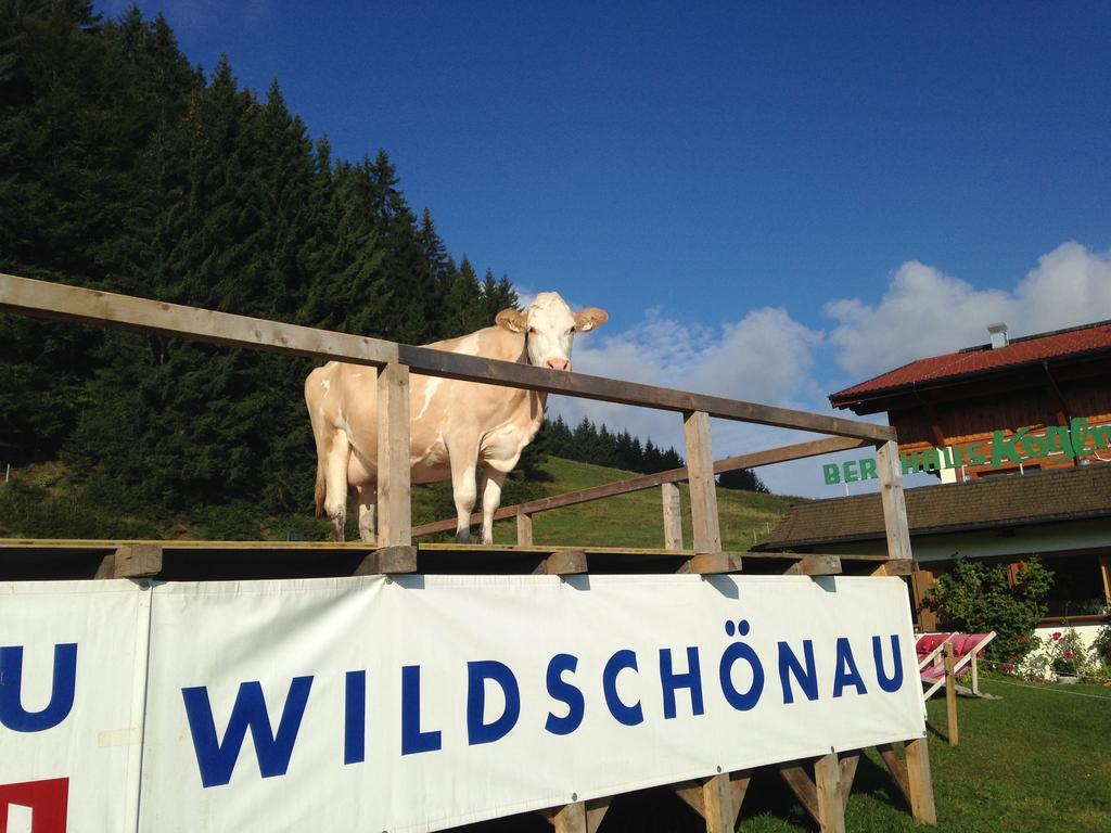 Hotel Berghaus Koglmoos Auffach Exterior foto